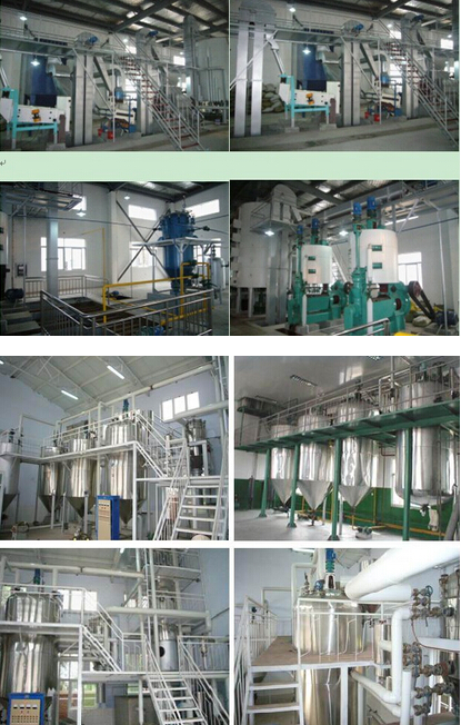 sunflower oil processing equipment.jpg