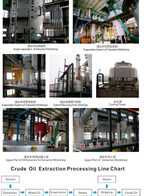 Crude Oil Extraction Processing Line