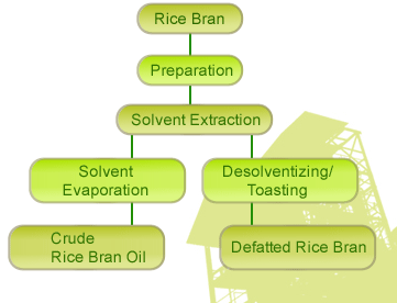 rice bran solvent extraction.jpg