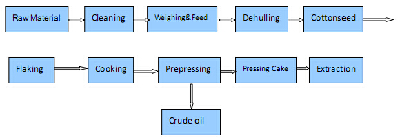 cottonseed oil press machine process.jpg