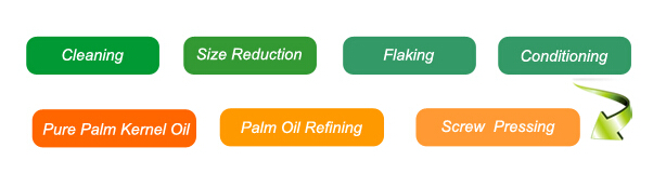 Palm oil process